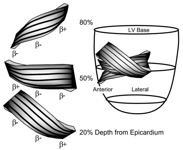 Fig. 5