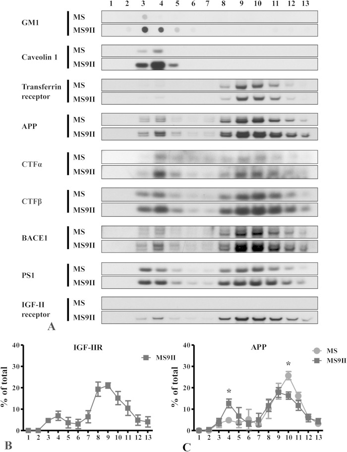 FIG 6