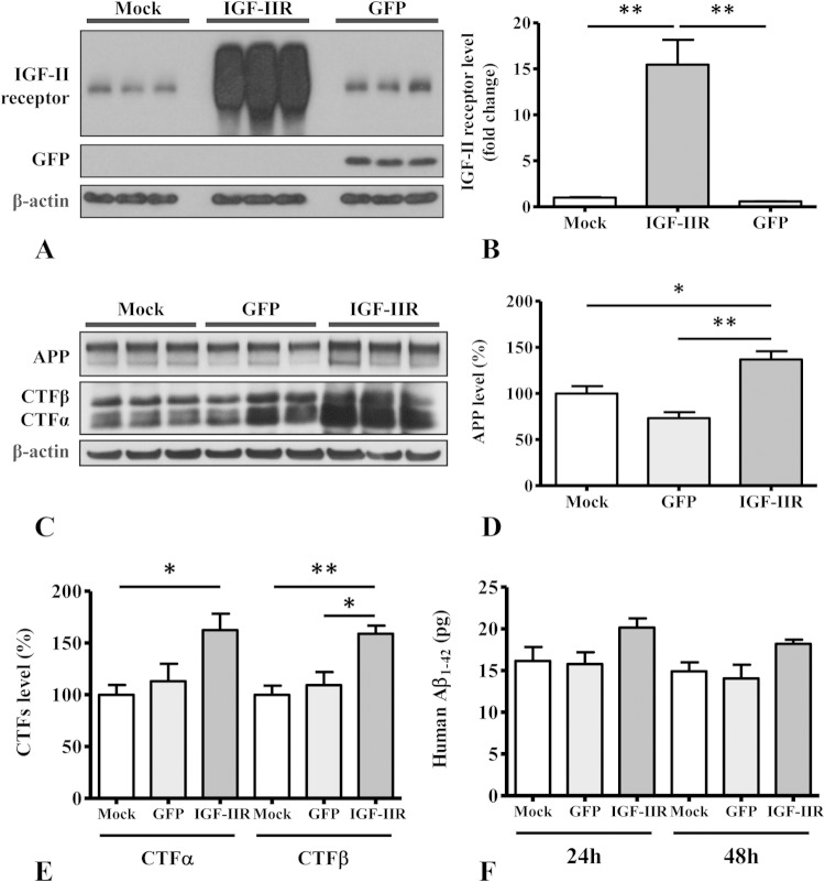 FIG 9