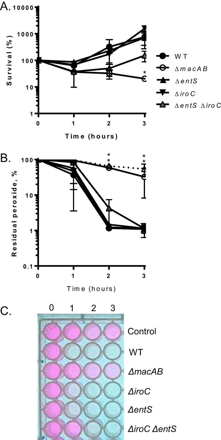 FIG 3