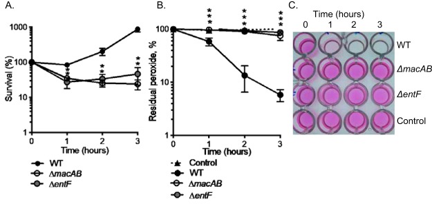 FIG 2