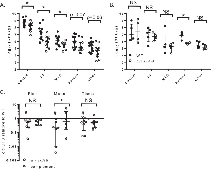 FIG 1