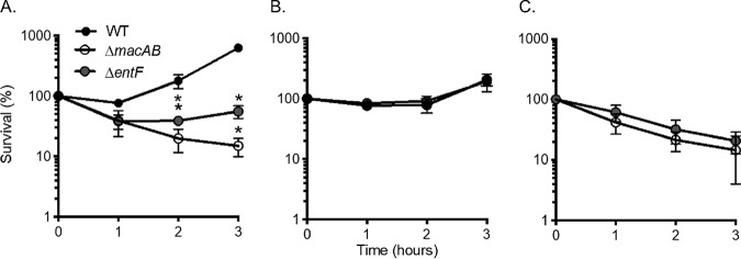 FIG 4