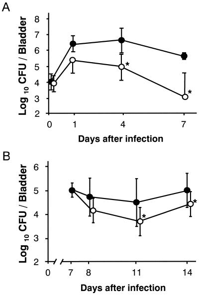 FIG. 6