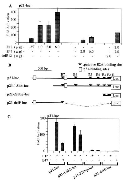 FIG. 3