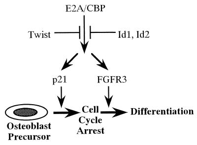 FIG. 9