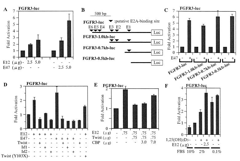 FIG. 7