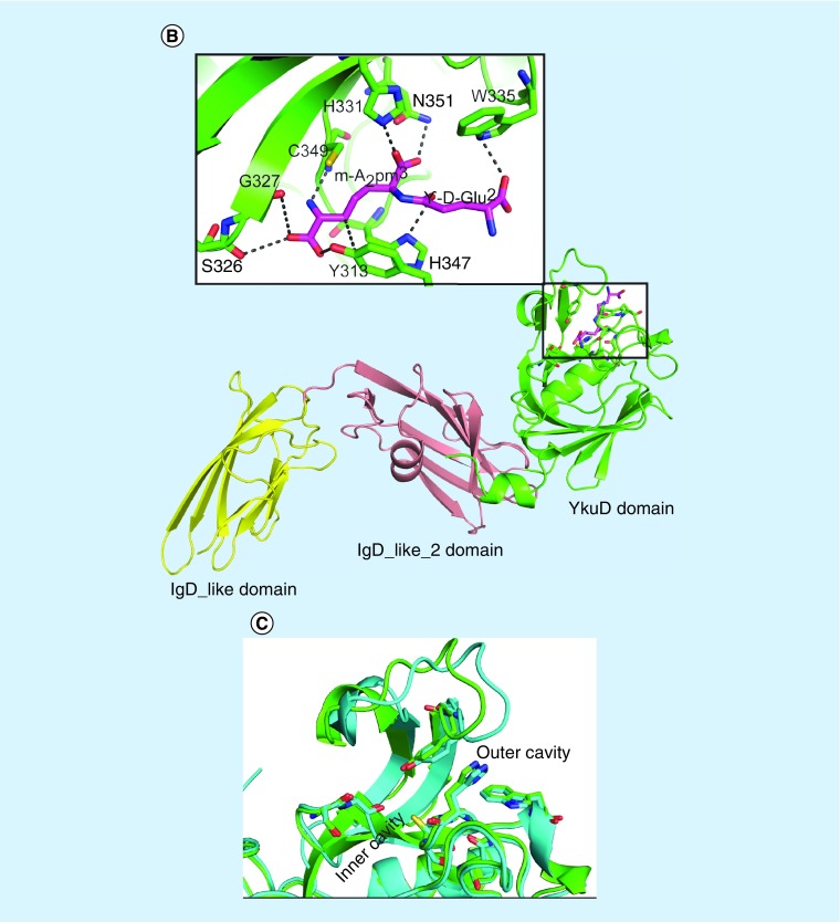 Figure 4. 