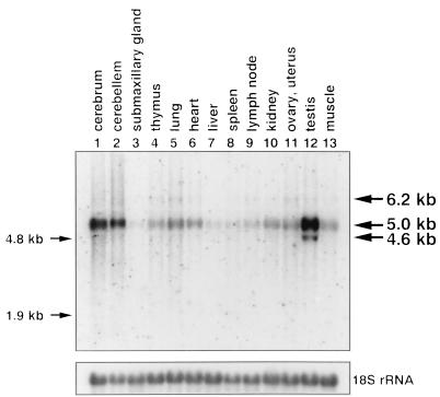 FIG. 6