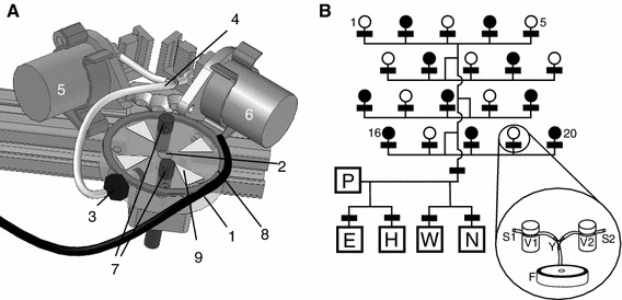 Fig. 1