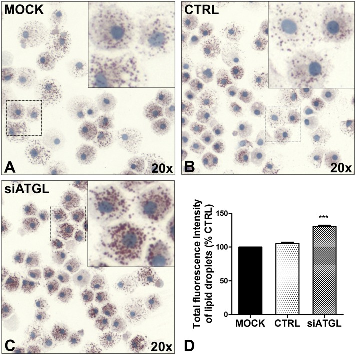 Fig. 4.