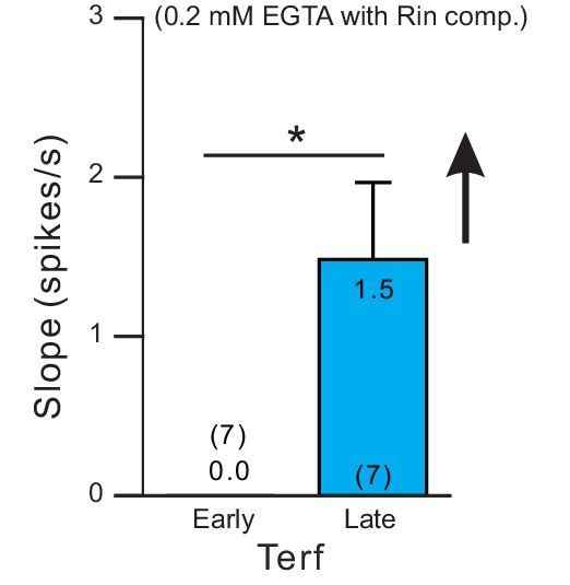 Figure 6—figure supplement 1.