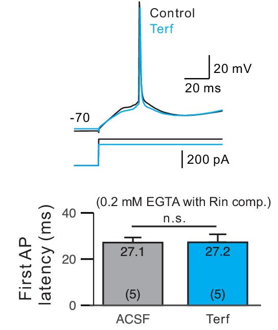 Figure 5—figure supplement 3.