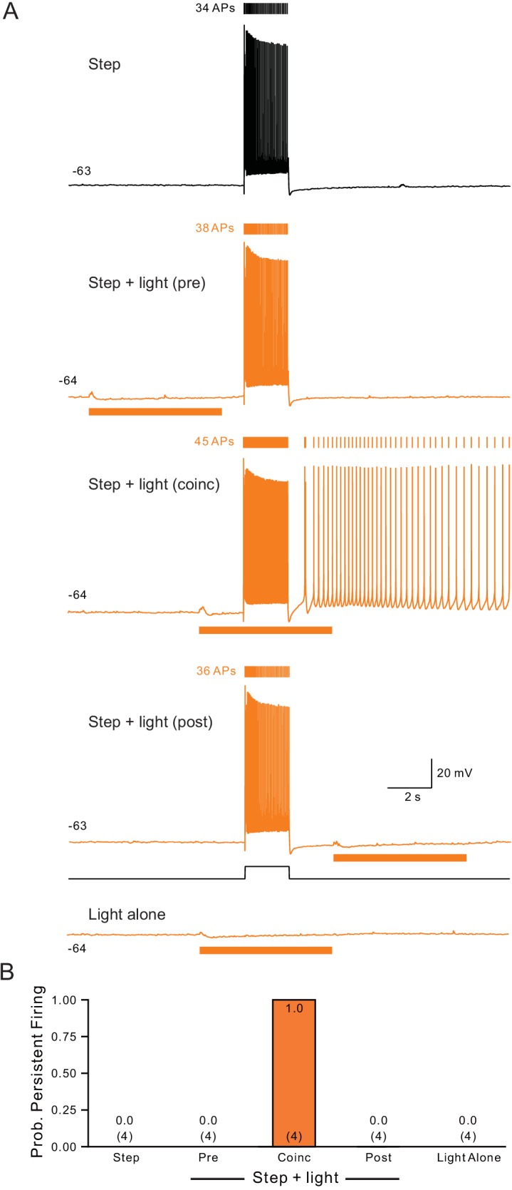 Figure 7—figure supplement 2.