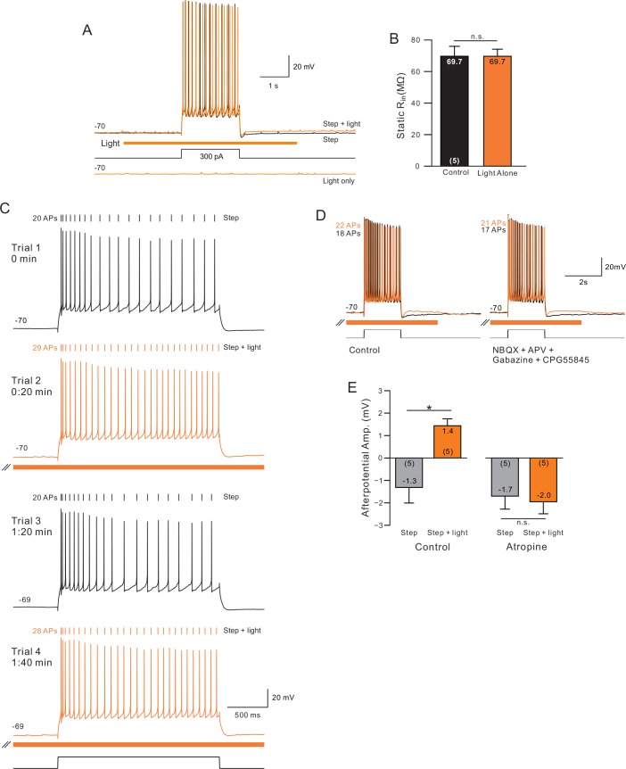 Figure 1—figure supplement 1.