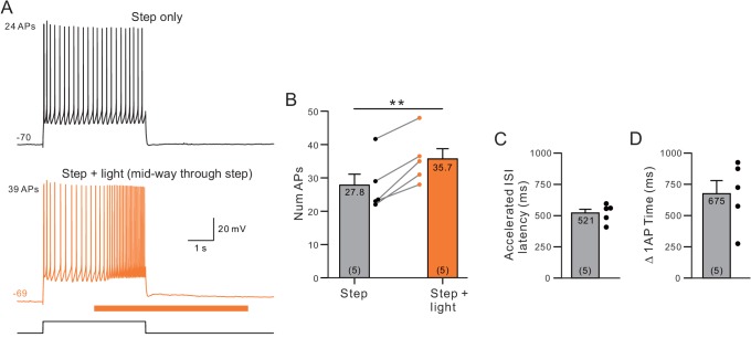 Figure 2—figure supplement 1.