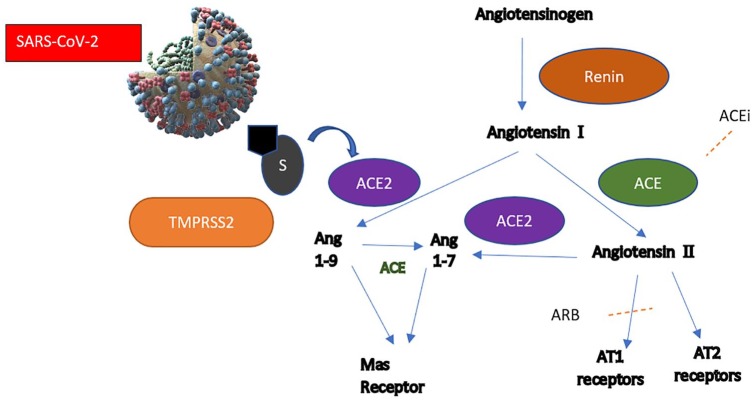 Figure 1.