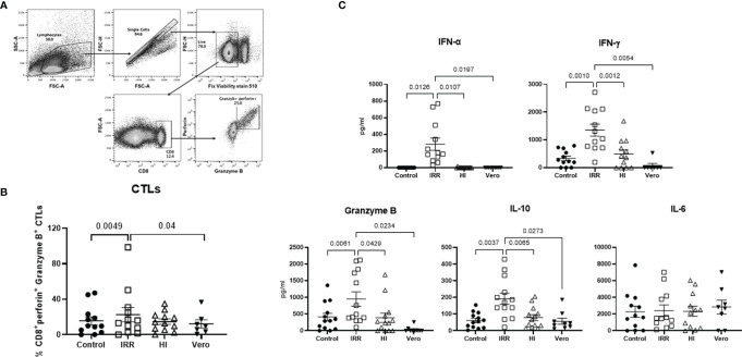 Figure 2