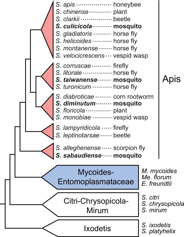 Fig. 1.—