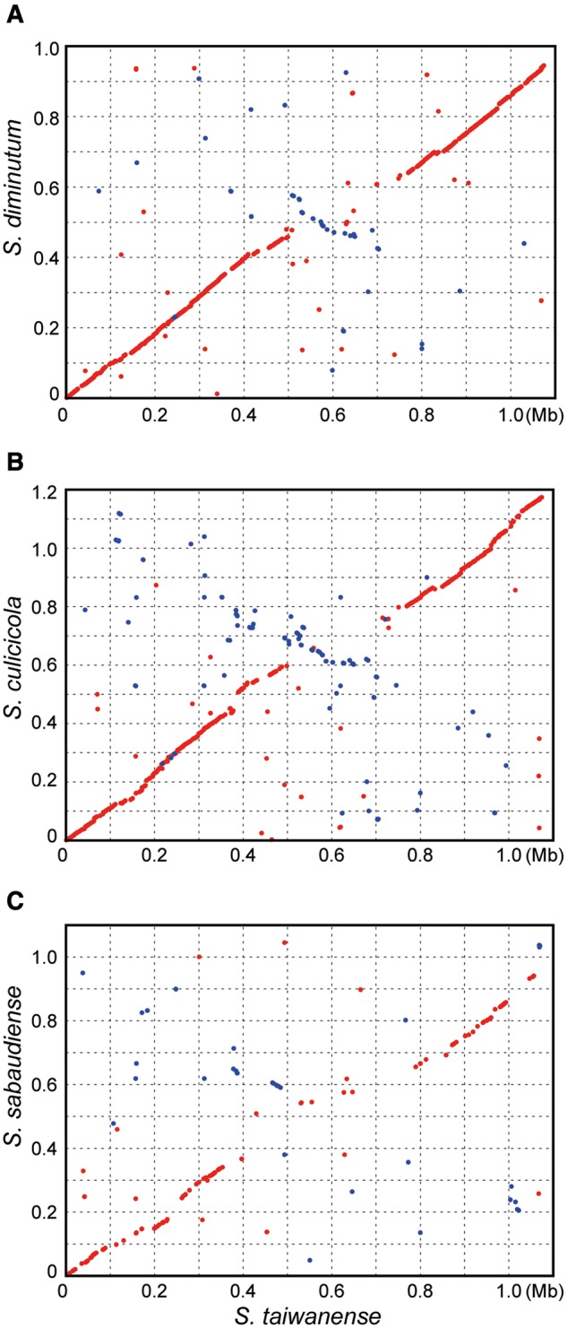 Fig. 3.—