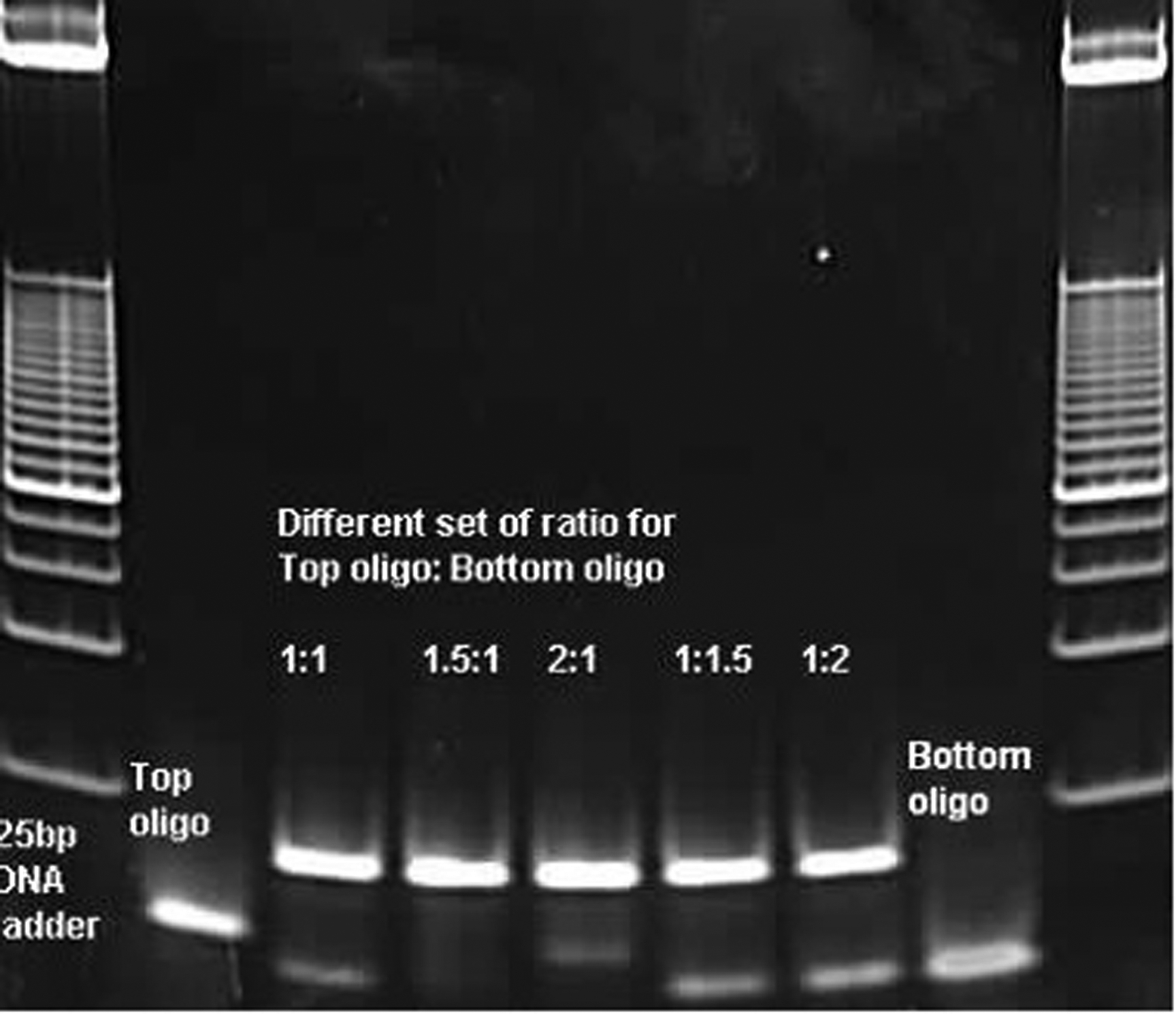 Figure 4: