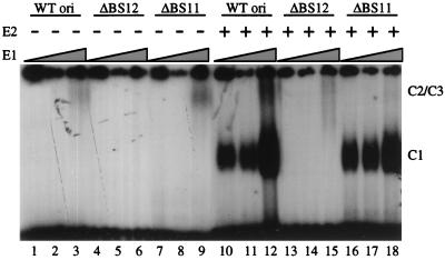 FIG. 6