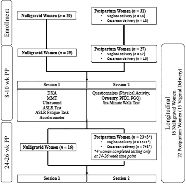 FIGURE 1.