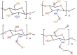 Fig. 10