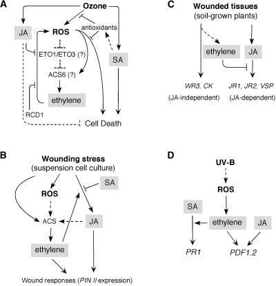 Figure 4.