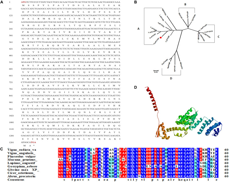 FIGURE 3