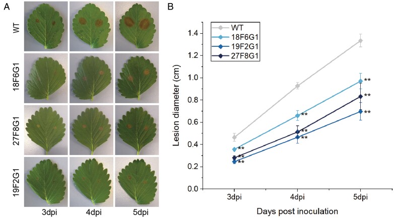 Fig. 8.