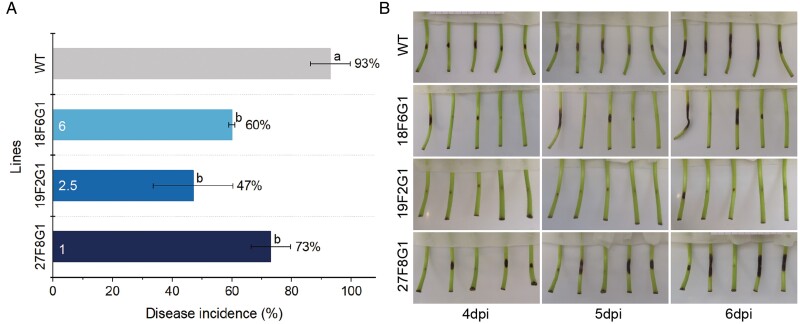 Fig. 7.