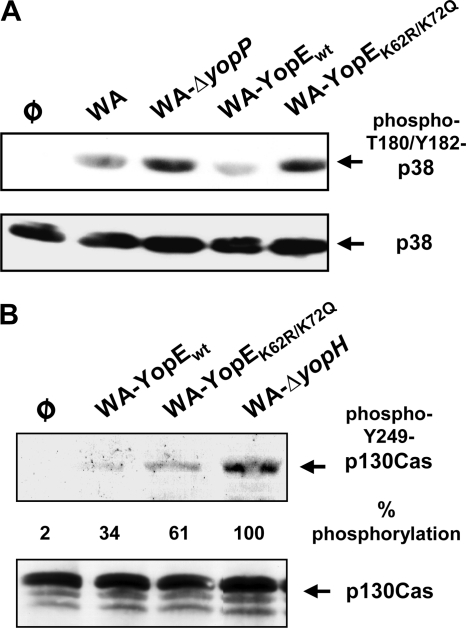 FIG. 8.