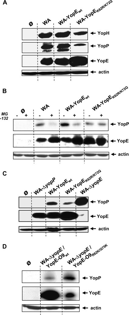 FIG. 7.