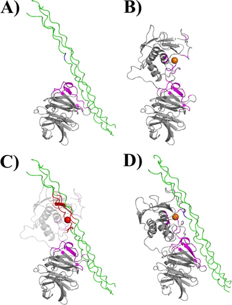 FIGURE 1.