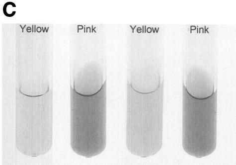 FIG. 5.