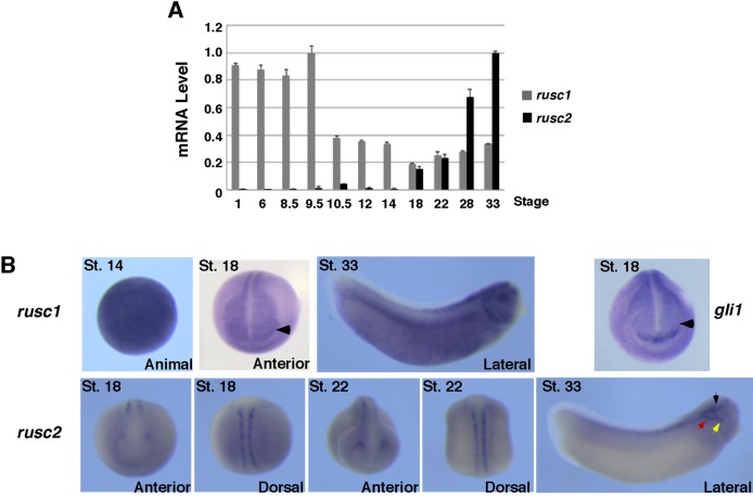 Fig. 6.