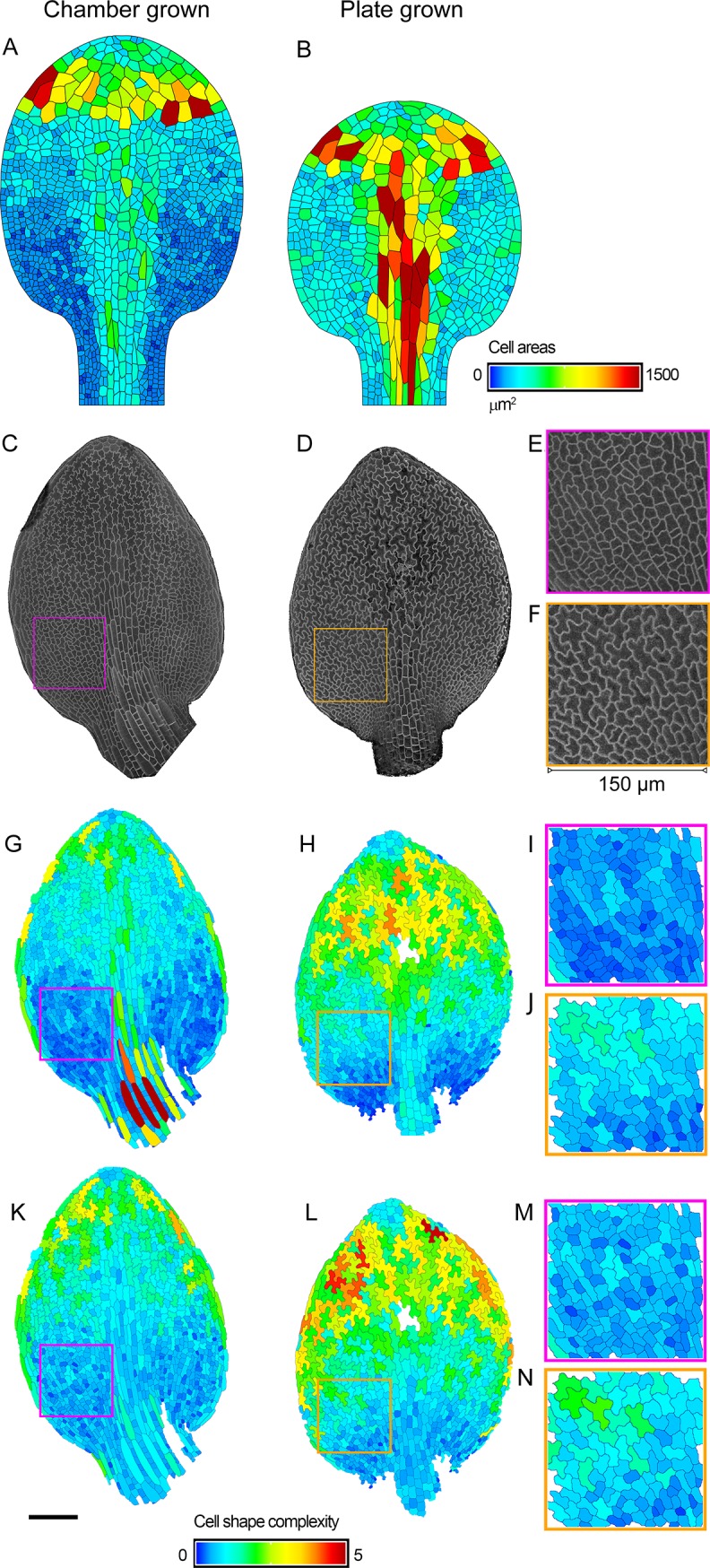 Fig 10