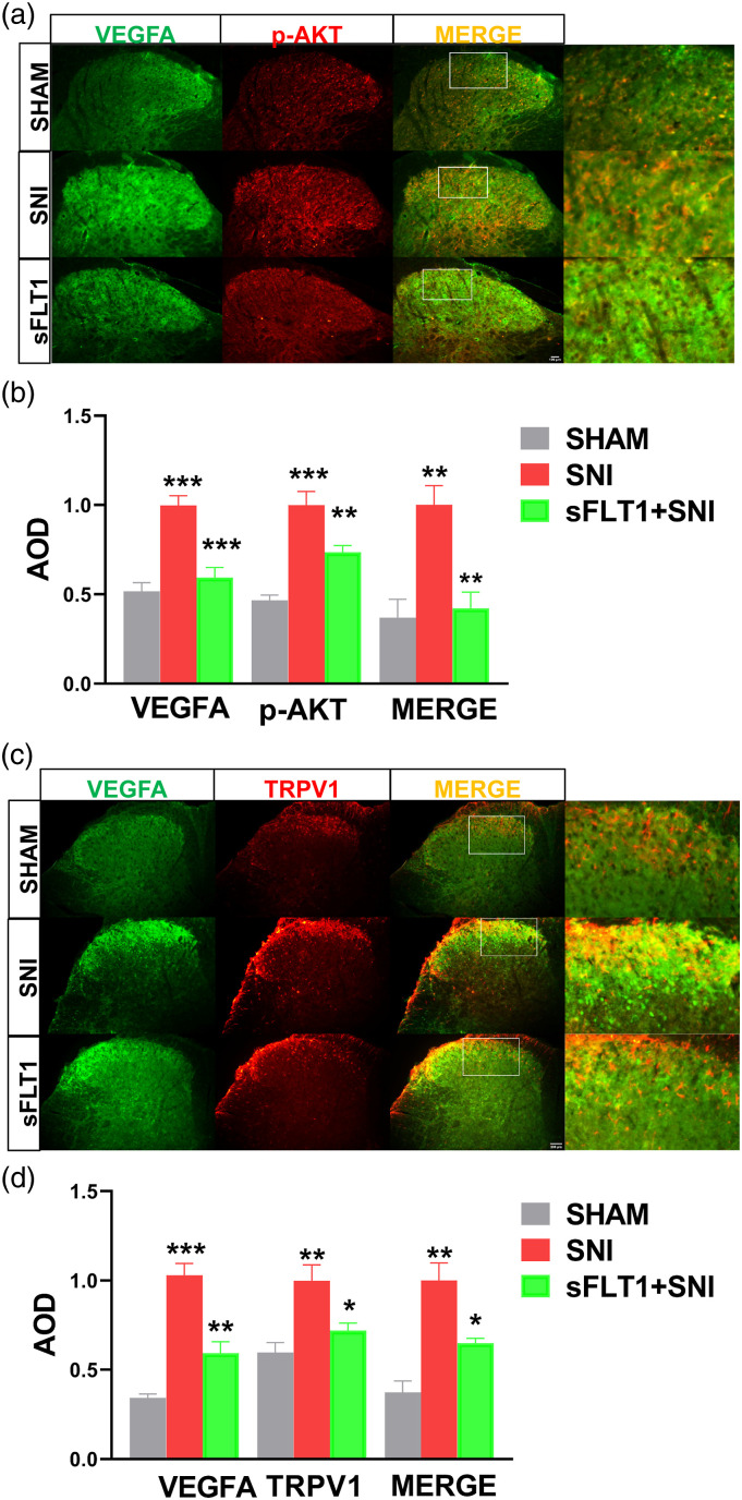 Figure
4.