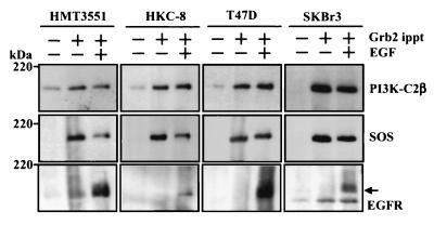 FIG. 7