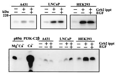 FIG. 8