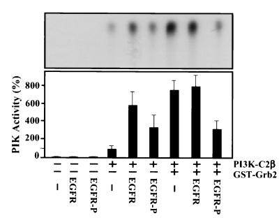 FIG. 9