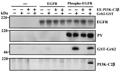 FIG. 10