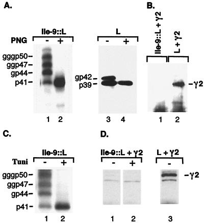 FIG. 5