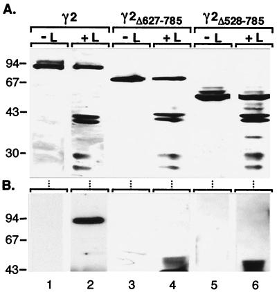 FIG. 6