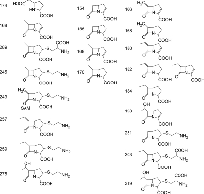 FIG. 6.