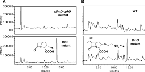 FIG. 7.