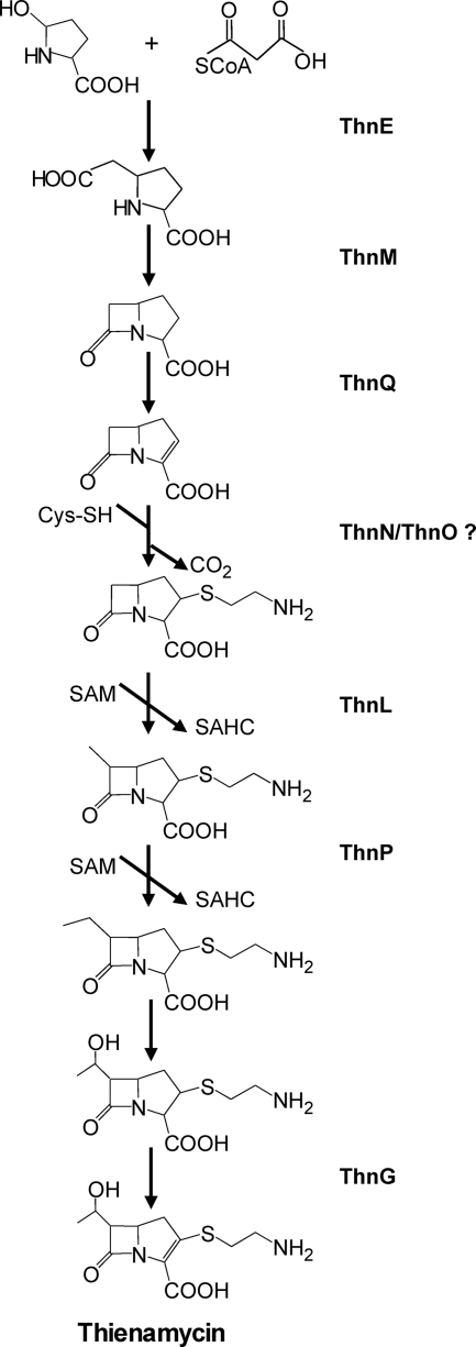 FIG. 8.