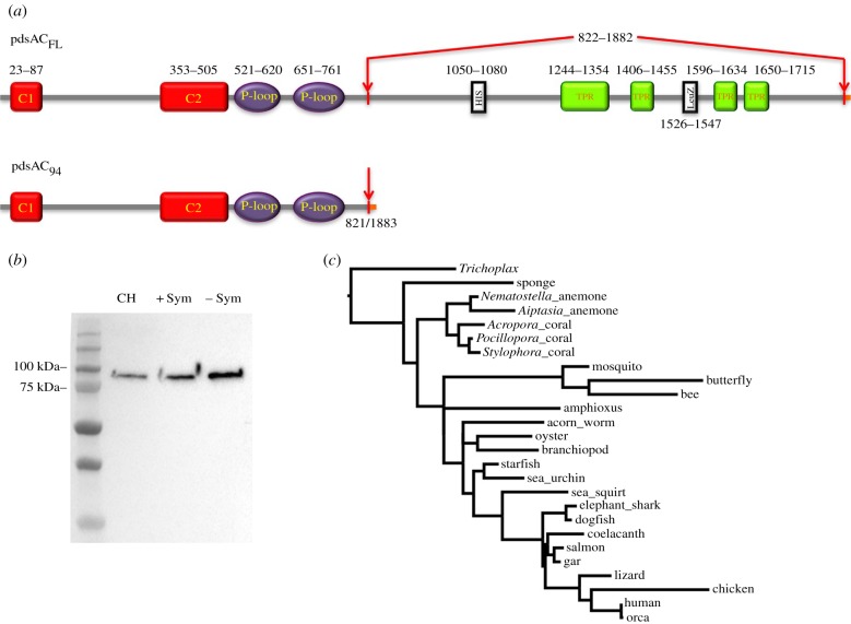 Figure 2.