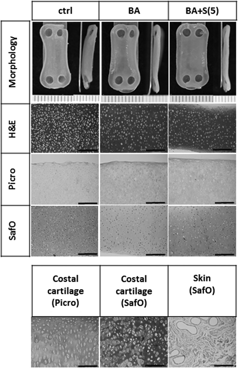 FIG. 6.